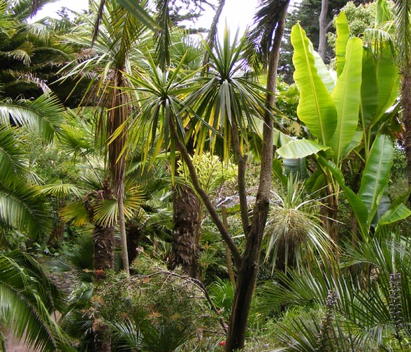 Le jardin exotique