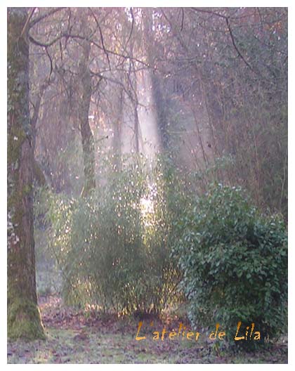 automne prs du saint ethurien