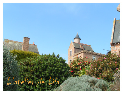 manoir, camlia et ciel bleu  brhat