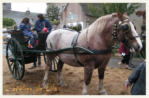 cheval de trait breton  lanvellec