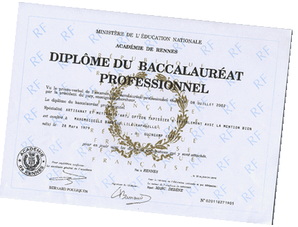 diplme du baccalaurat professionnel